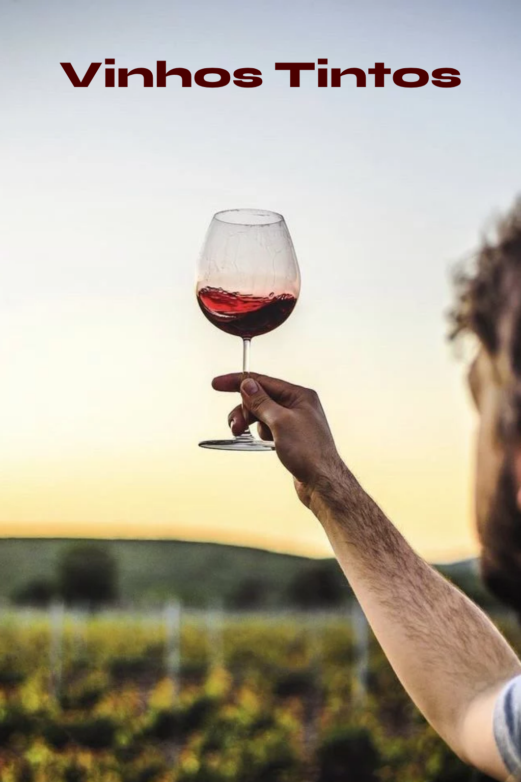 Vinhos Tintos